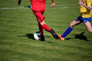 华体会体育app-中国足球年度训练项目与技战术实战匹配，中国足球队战术