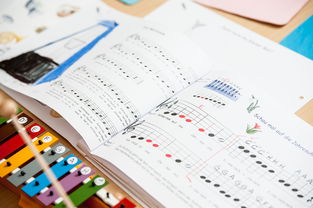 华体会app介绍-中小学体育教师继续教育体系建设与实施研究，小学体育继续教育考试试题及答案