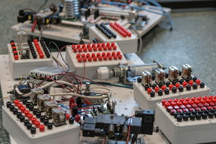 华体会官网新闻-数字化转型：青训系统中的大数据应用，数字化转型_青训系统中的大数据应用有哪些